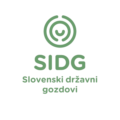 SiDG logo