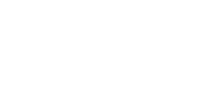 DOMEL Logo White