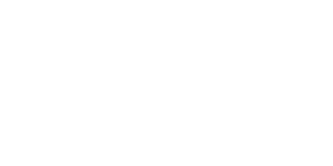 MEDIS Logo White